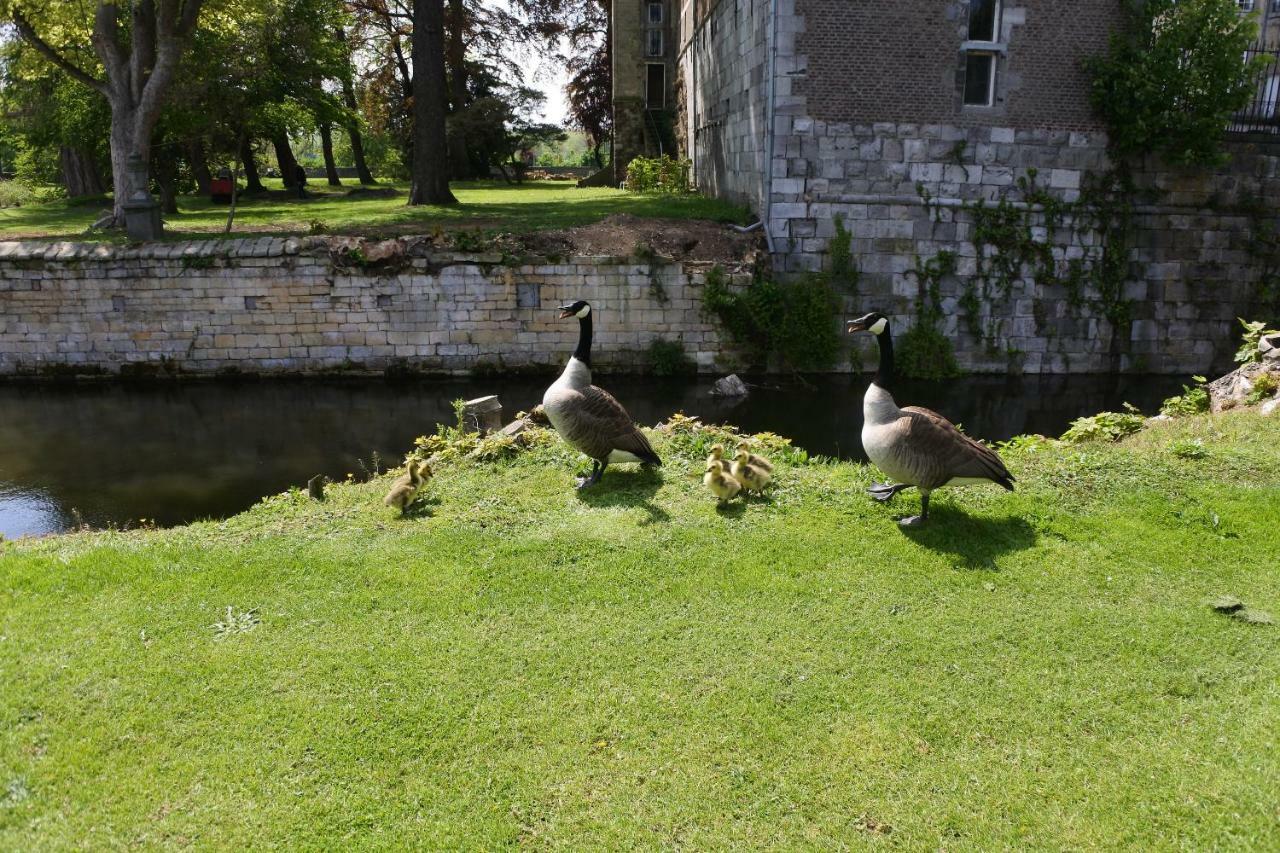 B & B Kasteelhoeve Borgharen - Maastricht Eksteriør bilde